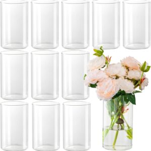 12pcs Glass Cylinder Vases for Centerpieces - 6 Inch Tall Flower Vase for Wedding Decorations, Clear Glass Flower Vases Floating Candle Holder for Table Centerpiece Wedding Home Décor